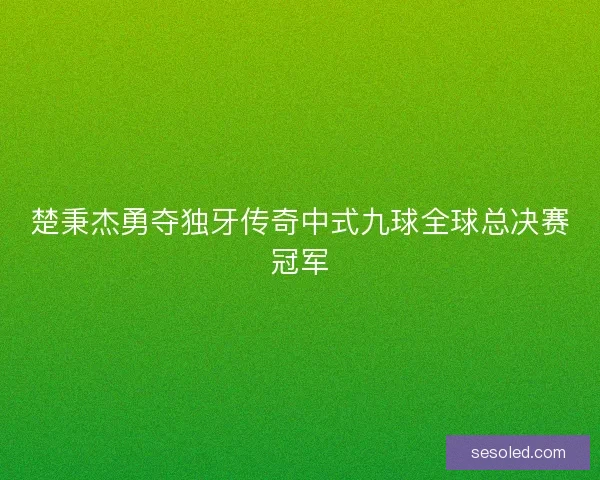 楚秉杰勇夺独牙传奇中式九球全球总决赛冠军