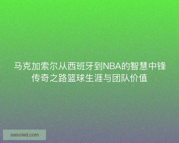 马克加索尔从西班牙到NBA的智慧中锋传奇之路篮球生涯与团队价值