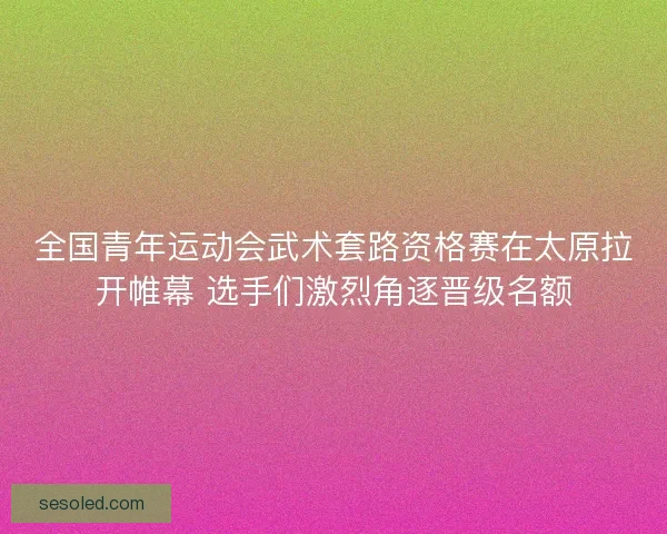 全国青年运动会武术套路资格赛在太原拉开帷幕 选手们激烈角逐晋级名额